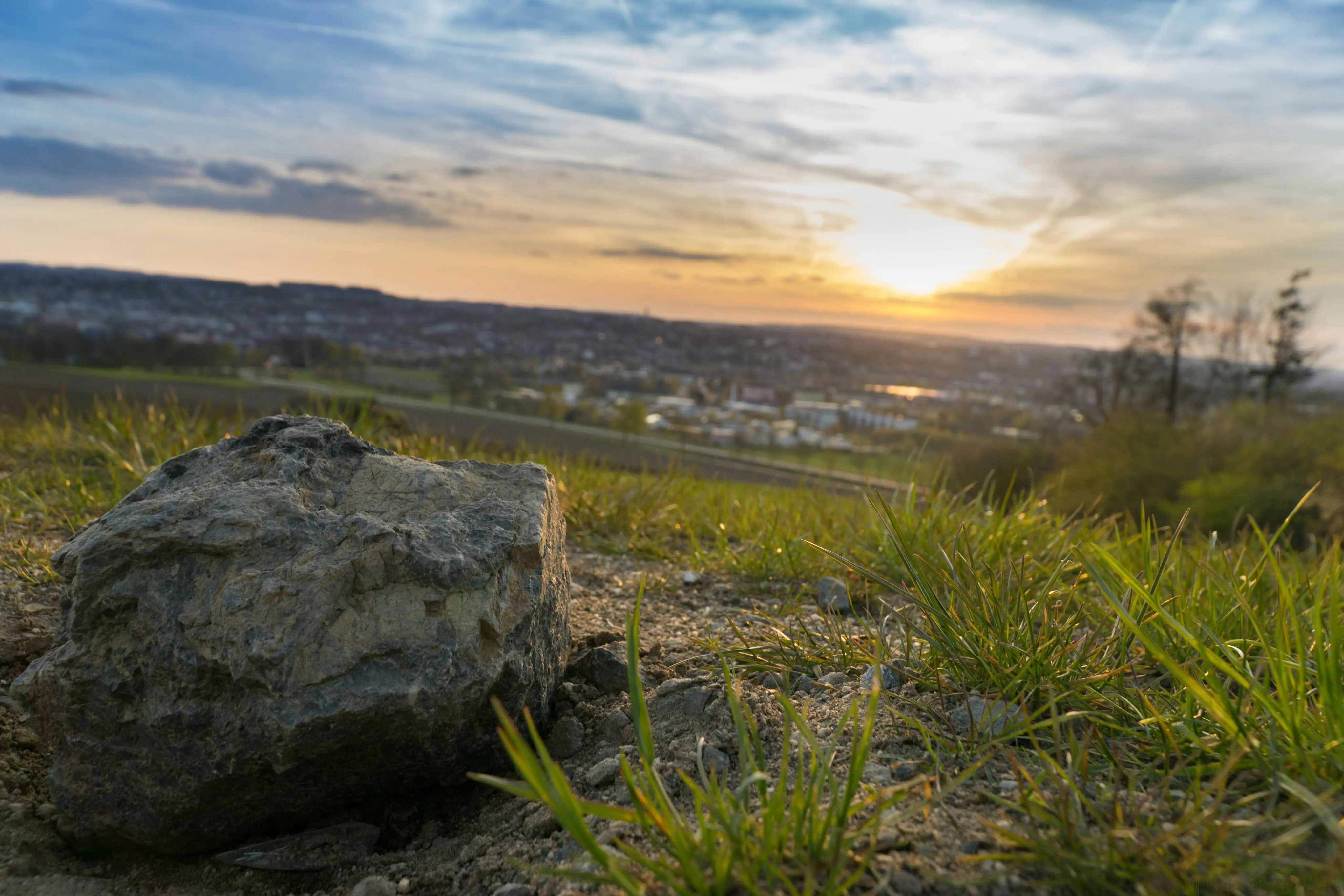 Rocks and blades of grass at sunset